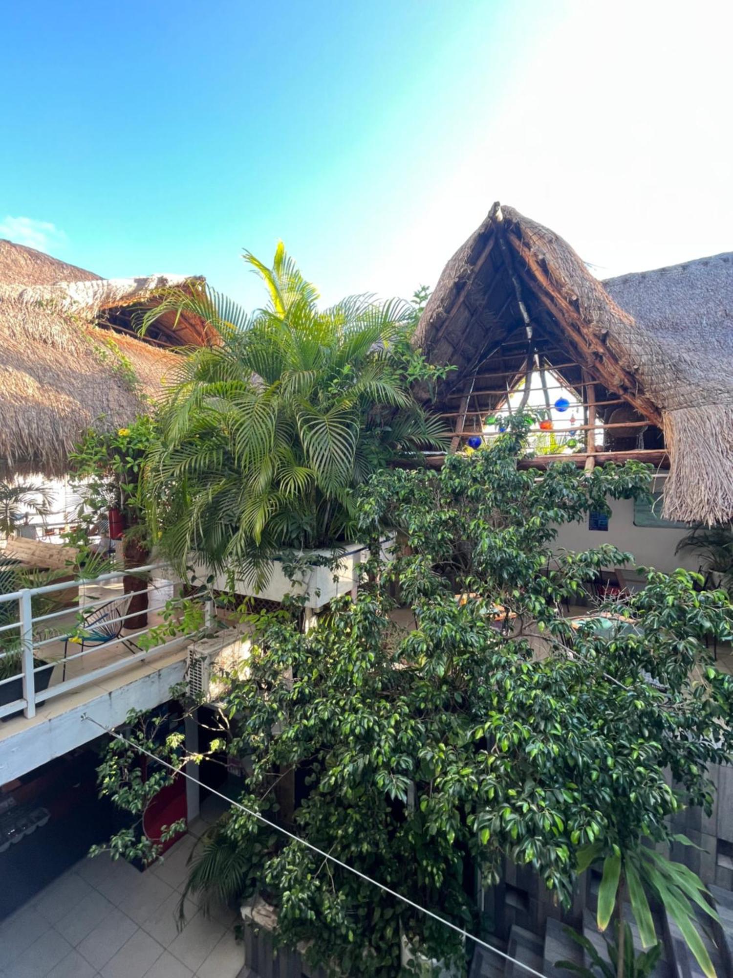 Hostelito Hotel Cozumel Extérieur photo