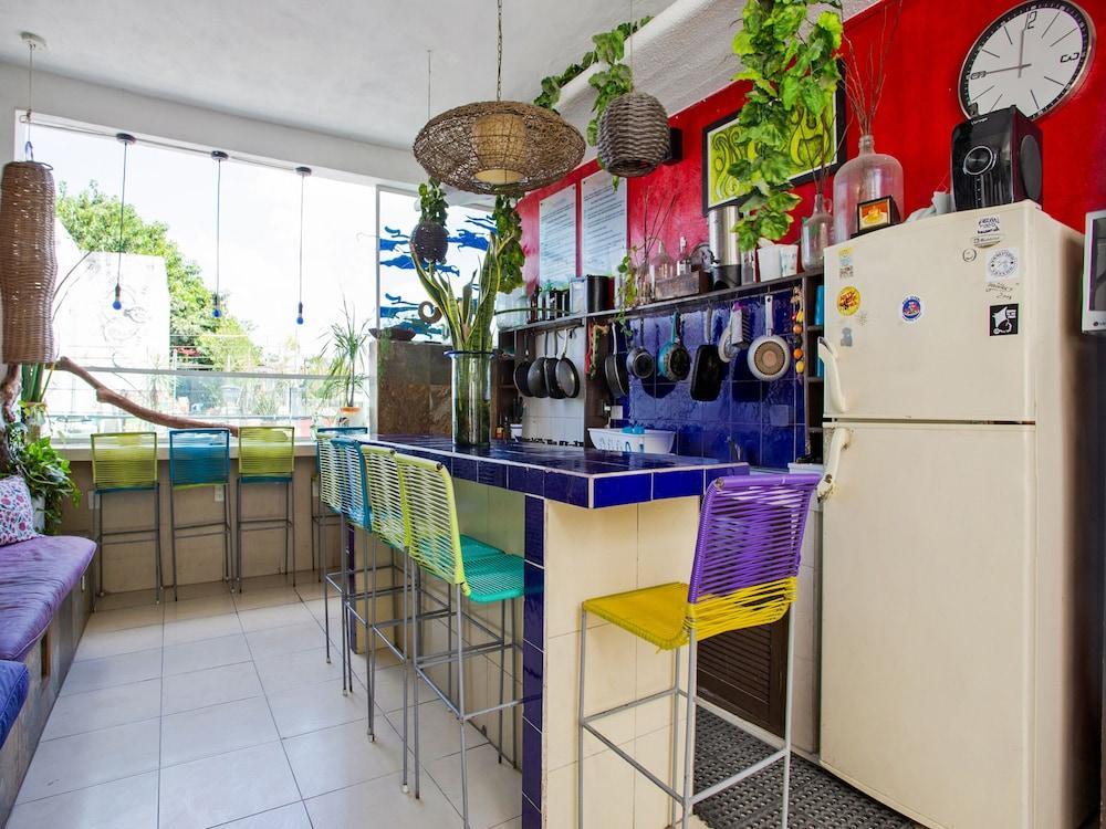 Hostelito Hotel Cozumel Extérieur photo